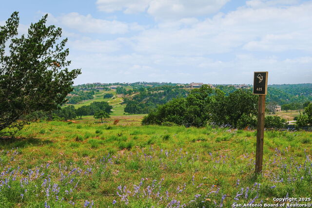 Details for Lot 625 Eldorado Ridge Drive W, Fredericksburg, TX 78624