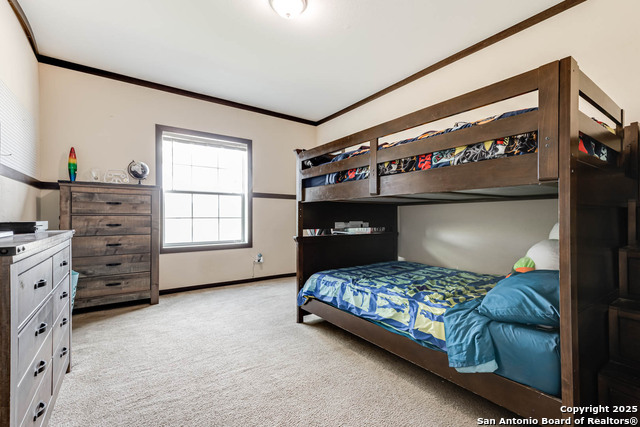 Listing photo id 13 for 1405 Fm 478
