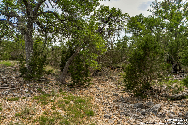 Image 15 of 16 For 645 Arthur Ave