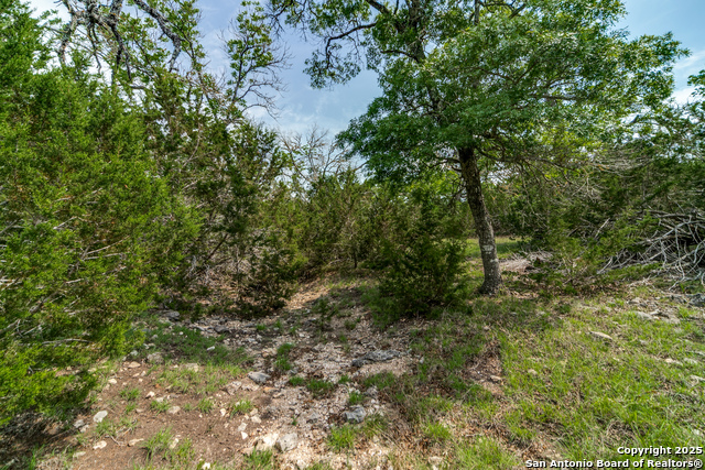 Image 9 of 16 For 645 Arthur Ave