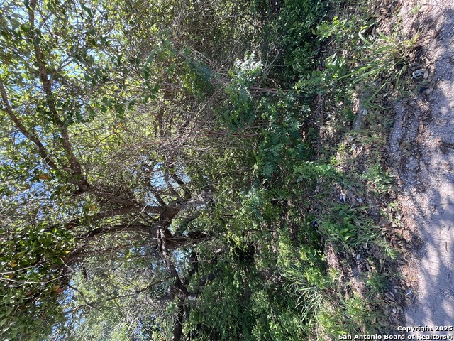 Details for Tbd Moss Rose Dr, Von Ormy, TX 78073