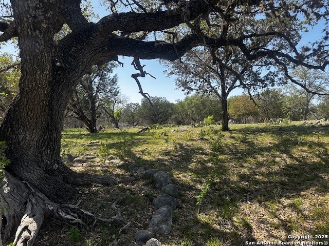 Image 16 of 23 For 698 Kahn N