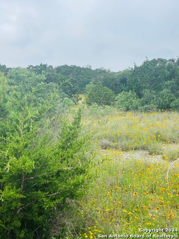 Details for 14333 Santa Loma, Helotes, TX 78023