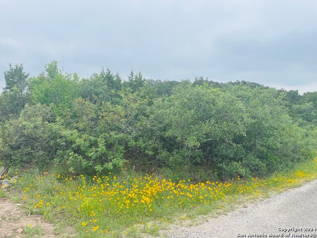 Listing photo id 24 for 14333 Santa Loma