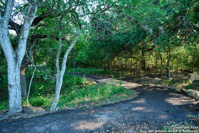 Image 15 of 16 For 1454 Azul  
