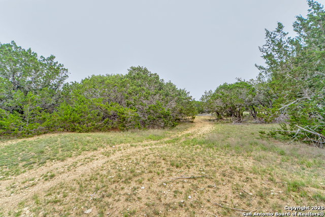 Listing photo id 8 for Tbd 37 Acres Elm Pass