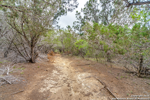 Listing photo id 9 for Tbd 37 Acres Elm Pass