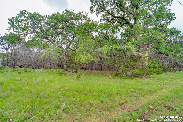 Listing photo id 2 for Tbd 37 Acres Elm Pass