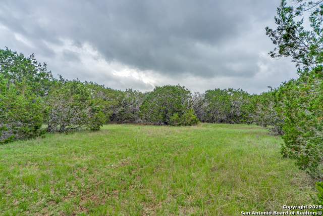 Listing photo id 3 for Tbd 37 Acres Elm Pass