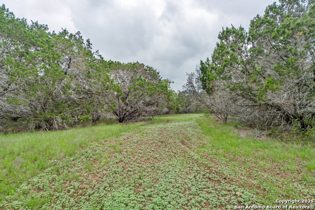 Listing photo id 4 for Tbd 37 Acres Elm Pass