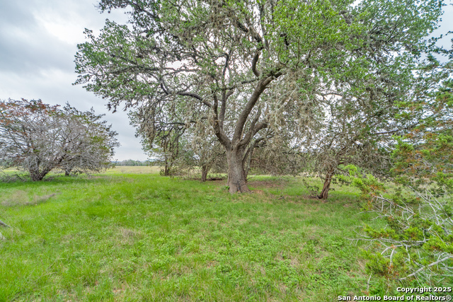 Listing photo id 5 for Tbd 37 Acres Elm Pass