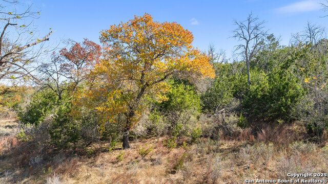 Image 24 of 34 For 271 Cielo Vista S