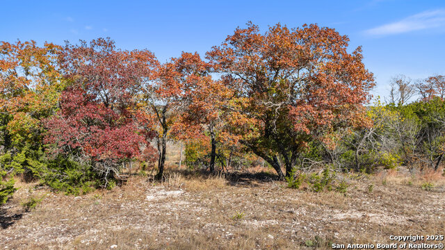 Image 26 of 34 For 271 Cielo Vista S