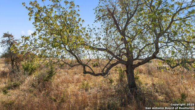 Image 27 of 34 For 271 Cielo Vista S