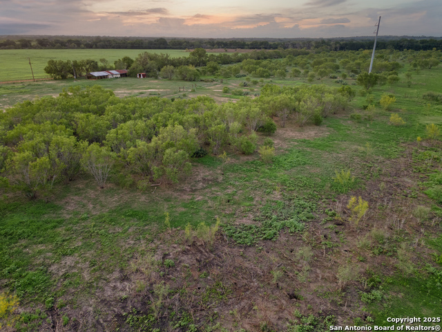 Image 35 of 45 For 1236 County Road 7611