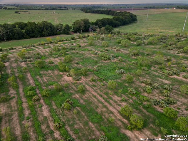 Image 40 of 45 For 1236 County Road 7611