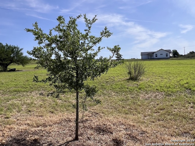 Image 18 of 47 For 11875 Ware Seguin Rd