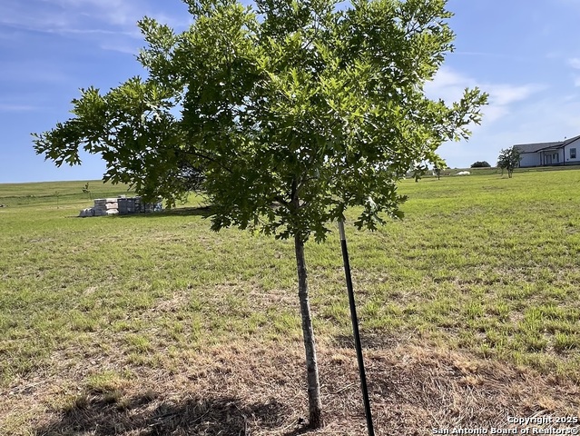Image 19 of 47 For 11875 Ware Seguin Rd