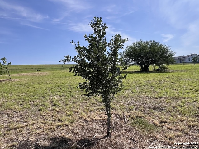 Image 22 of 47 For 11875 Ware Seguin Rd