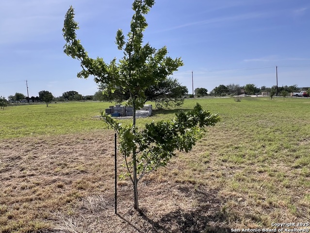 Image 36 of 47 For 11875 Ware Seguin Rd