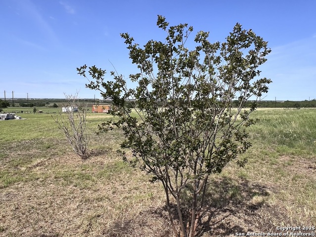 Image 41 of 47 For 11875 Ware Seguin Rd