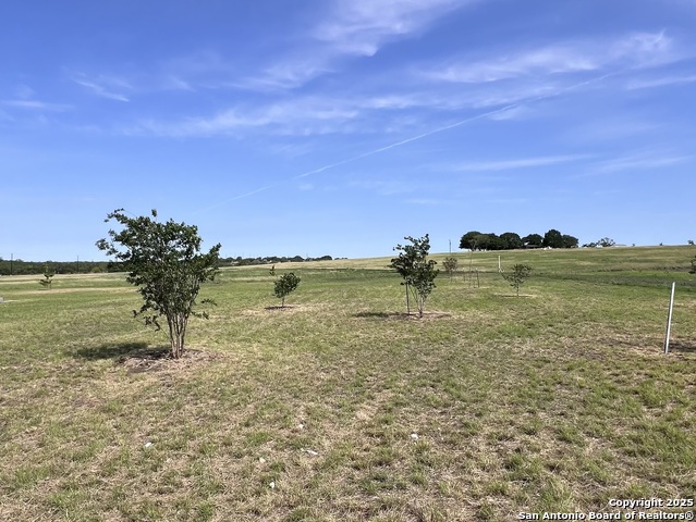 Image 46 of 47 For 11875 Ware Seguin Rd