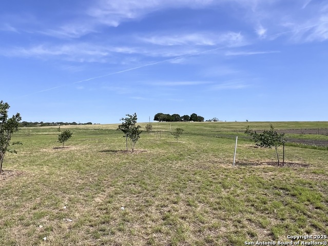 Image 47 of 47 For 11875 Ware Seguin Rd