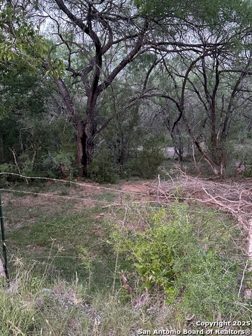 Listing photo id 1 for Tba Stuart Rd