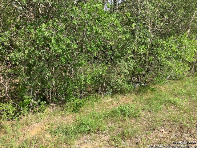 Listing photo id 2 for Tba Stuart Rd