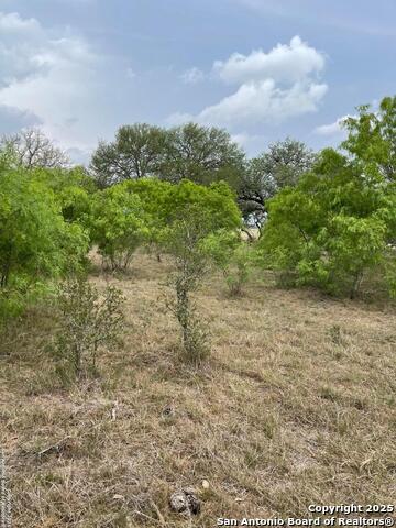Image 4 of 7 For Tract 2 Hartfield