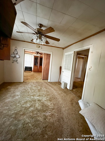 Listing photo id 13 for 000 Fannin St