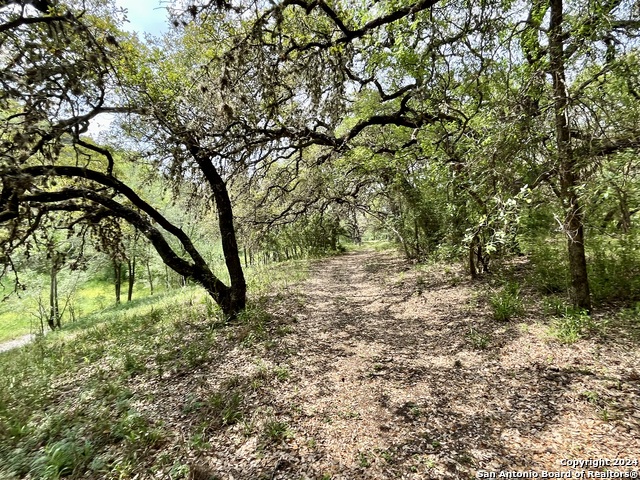 Listing photo id 8 for 13931 Old Scenic Loop