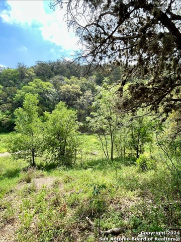 Listing photo id 13 for 13931 Old Scenic Loop