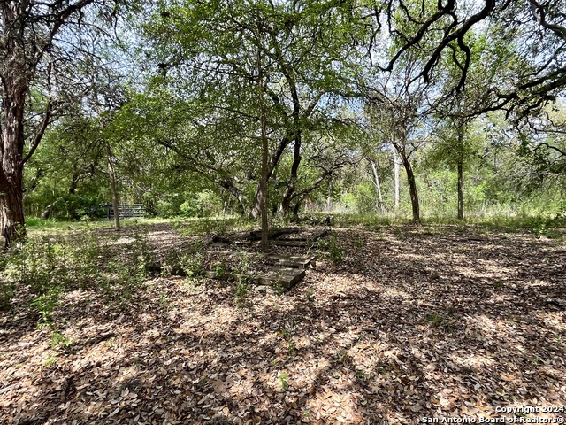 Listing photo id 16 for 13931 Old Scenic Loop