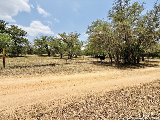 Listing photo id 47 for 1657 County Road 434
