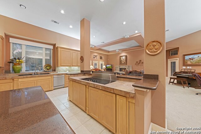 Image 16 of 48 For 26118 Alto Oaks