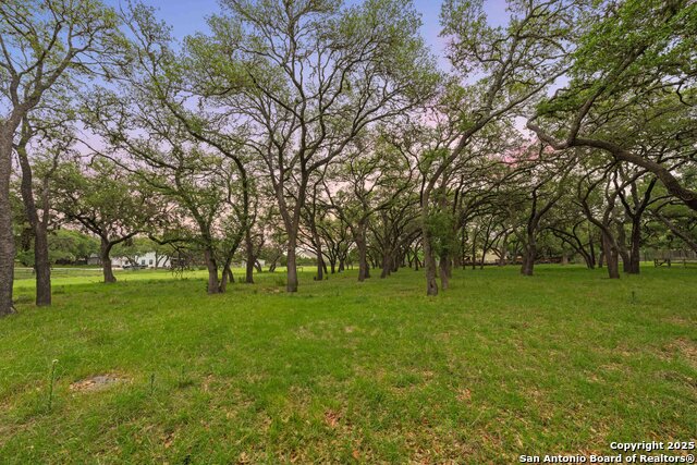 Image 45 of 48 For 26118 Alto Oaks