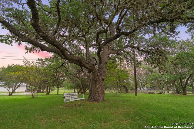 Image 46 of 48 For 26118 Alto Oaks