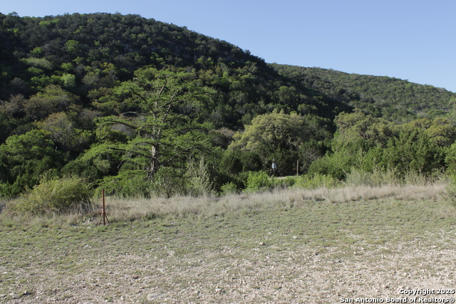 Details for 1976 Cedar Creek W, Leakey, TX 78873