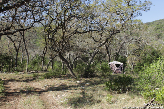 Image 15 of 21 For 1976 Cedar Creek W