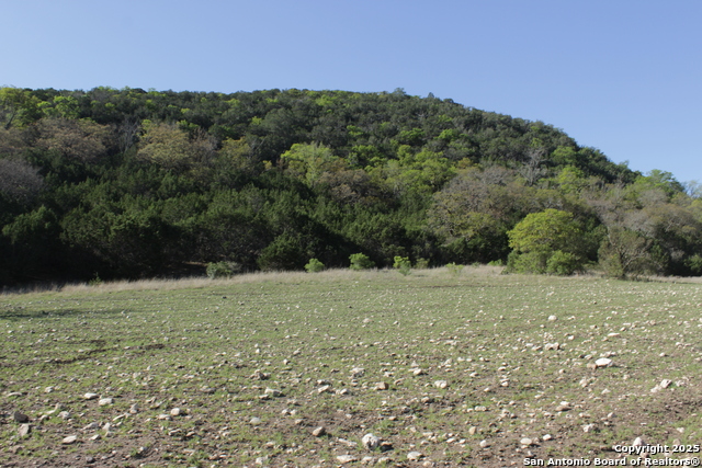 Image 17 of 21 For 1976 Cedar Creek W