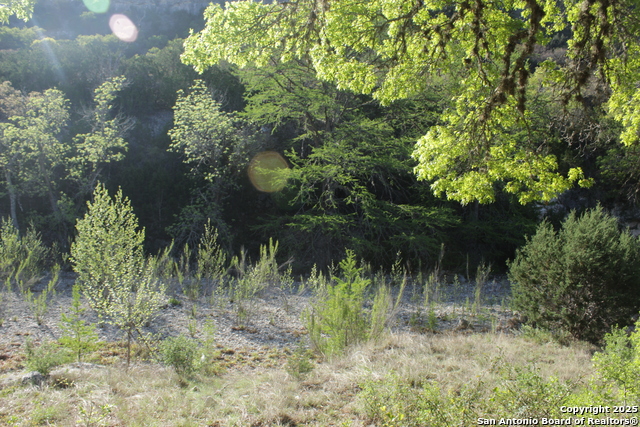 Image 4 of 21 For 1976 Cedar Creek W