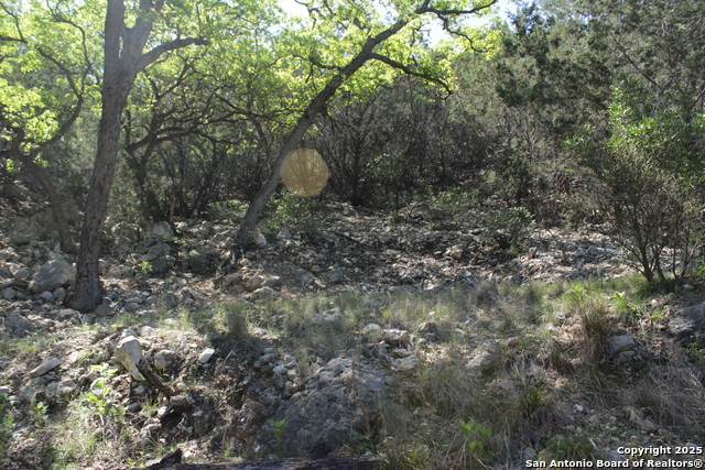 Image 9 of 21 For 1976 Cedar Creek W