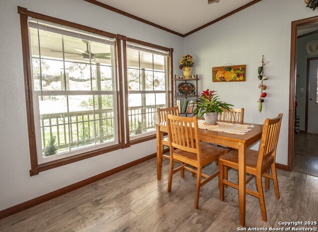 Listing photo id 16 for 26701 Fm 470