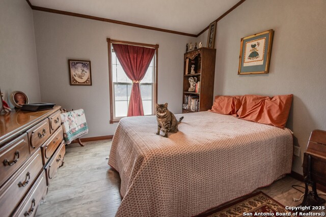 Listing photo id 19 for 26701 Fm 470