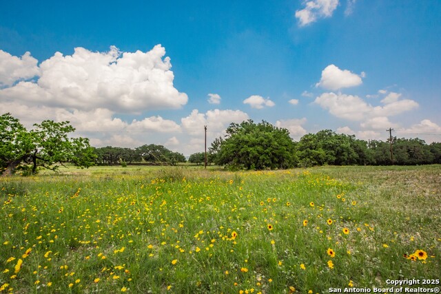 Listing photo id 24 for 26701 Fm 470