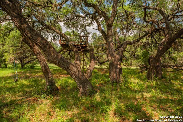 Listing photo id 1 for 26701 Fm 470