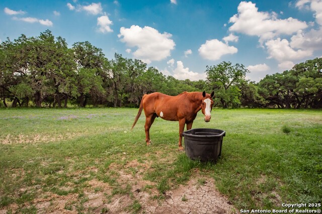 Listing photo id 31 for 26701 Fm 470