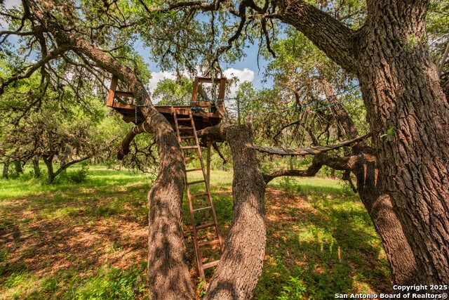 Listing photo id 2 for 26701 Fm 470