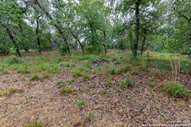 Image 16 of 19 For 138 Bridlewood